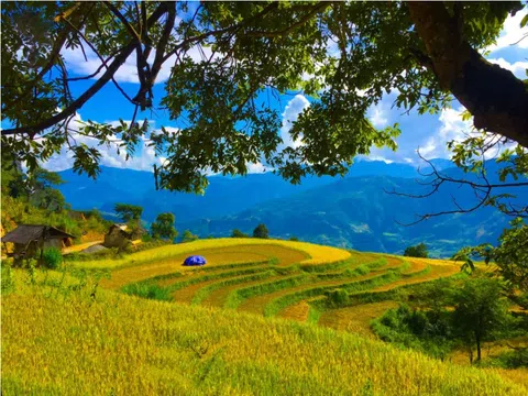 Các trải nghiệm, khám phá khi du lịch Điện Biên