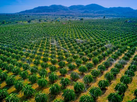 5 trải nghiệm đặc sắc tại Azerai: Từ khám phá kinh đô cuối cùng của Việt Nam, lãng du qua ‘tiểu sa mạc’ đẹp nhất vùng Duyên hải Nam Trung Bộ, tới chinh phục ‘báu vật cổ’ Đồng bằng sông Cửu Long