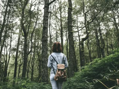 Độc thân vui vẻ: hãy trở thành kẻ cô đơn tuyệt vời nhất