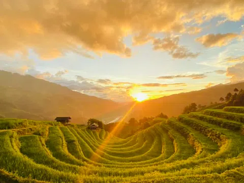 Thời gian vàng đi ngắm ruộng bậc thang Tây Bắc mùa lúa chín