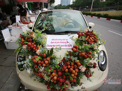 'Xe hoa' kết bằng 30kg vải thiều trên phố Hà Nội thu hút mọi ánh nhìn