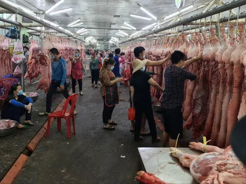 Tạm dừng mua bán tại chợ đầu mối Hóc Môn trong 1 tuần