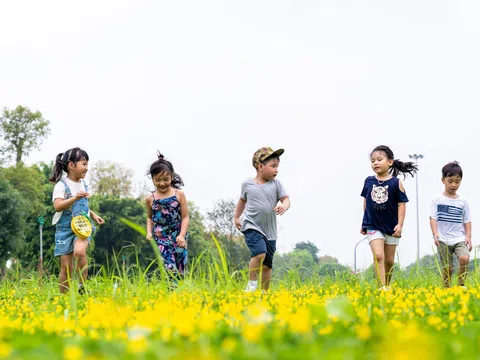 Hè cho con chơi và học kỹ năng gì?